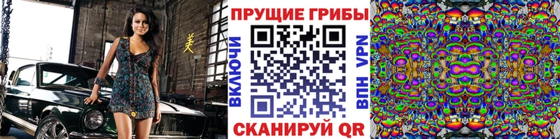 купить наркоту  Боровск  Псилоцибиновые грибы мицелий 